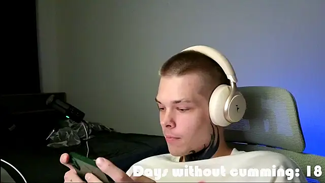 DENIS_HERE webcam