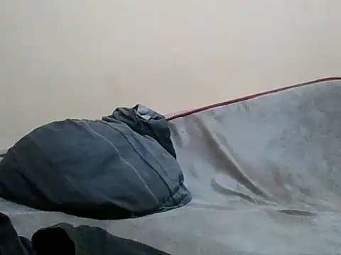 Honey_blush001 webcam