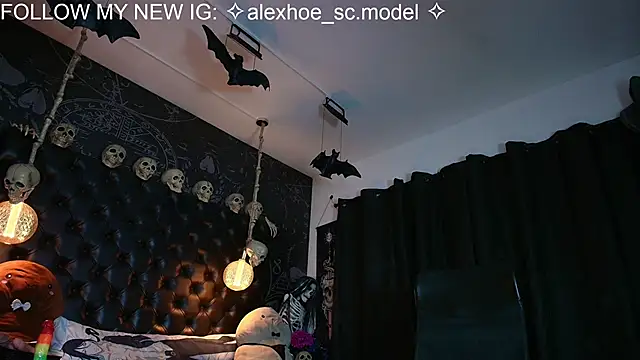 AlexHoe_ webcam