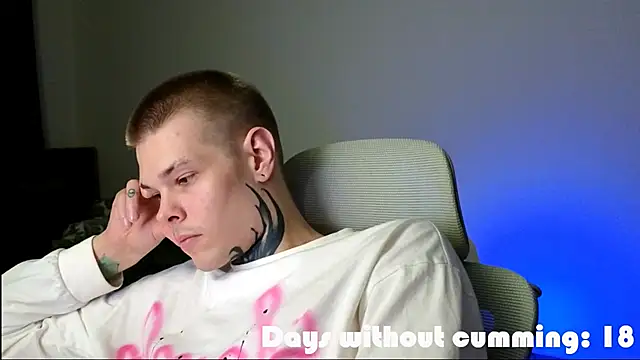 DENIS_HERE webcam