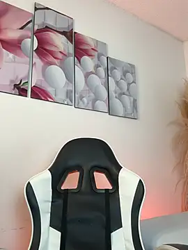 Samir_bear webcam
