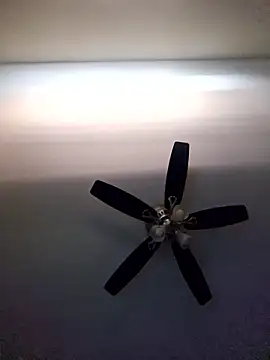 Arbitrair webcam