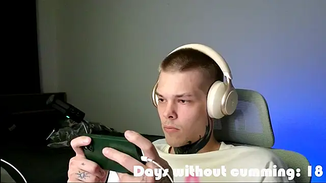 DENIS_HERE webcam