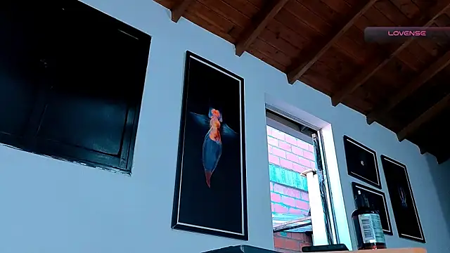 SilvaBranko webcam