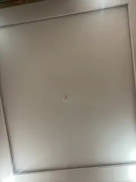 SiIriin webcam