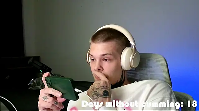DENIS_HERE webcam