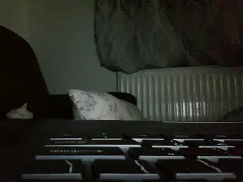 FROL83 webcam