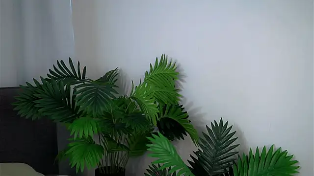 TemikaAltvater webcam