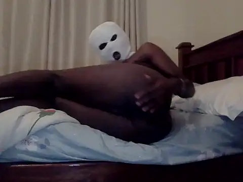 K_swan webcam