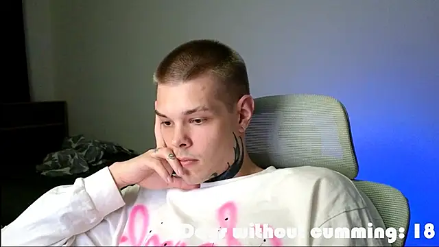 DENIS_HERE webcam