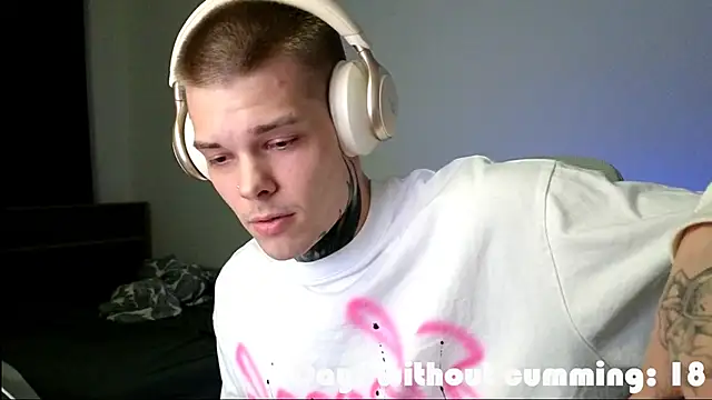 DENIS_HERE webcam