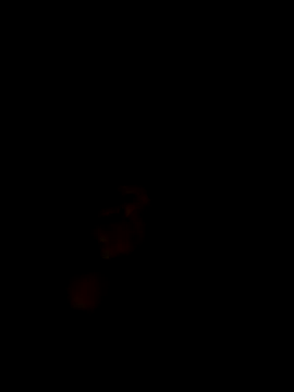 Chiennemale68@xh webcam