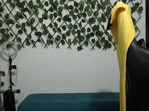 jeiana4u webcam