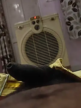Mr_beast_09 webcam
