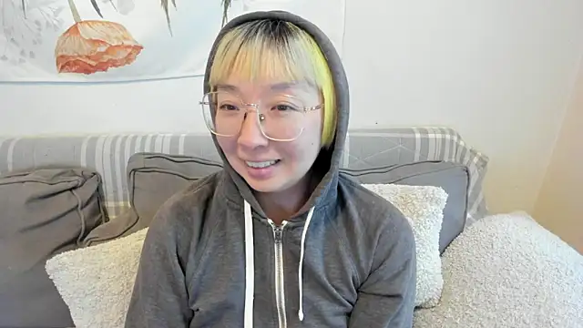 luxgray webcam