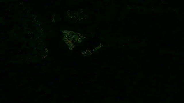 _P3RKY_IMMORTAL3_FIR3_ webcam