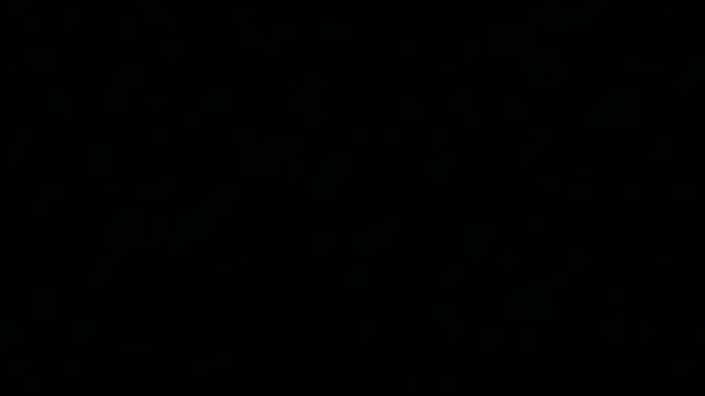 SamuelTal webcam