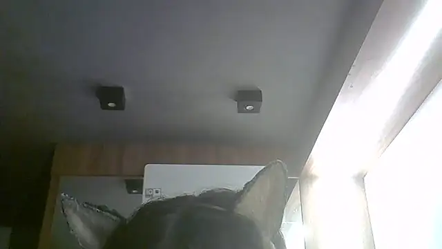 SkinnyKitten webcam