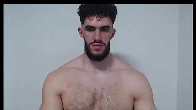 hiddenf webcam