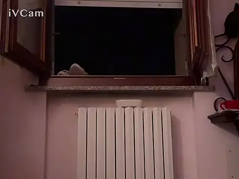 PierPesaroX webcam