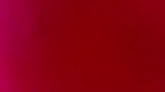 Amber_villalobos_ webcam