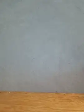 Vanvan68xx webcam