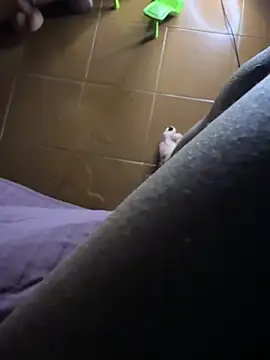 Wet-Pussycat webcam