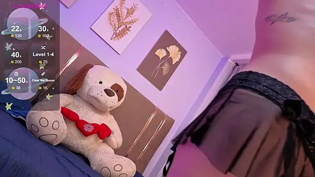 SALOME_F0X_ webcam