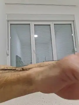 FrameBoy webcam