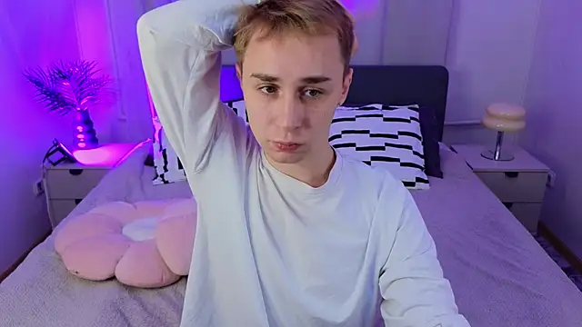 e1v1s webcam