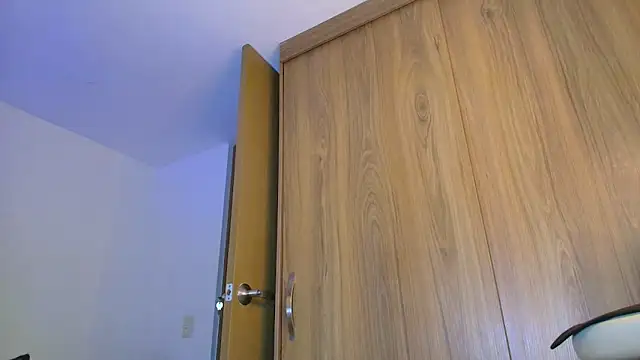 SARA_TS_FOX webcam
