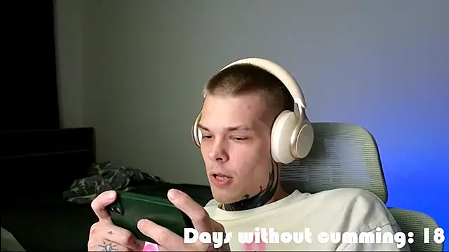 DENIS_HERE webcam