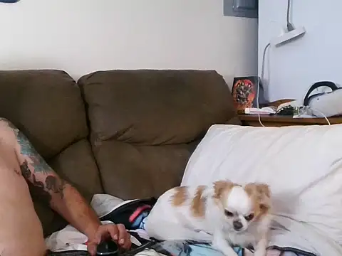Victoria121565Harley webcam
