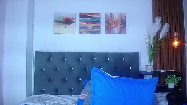 Jesve webcam