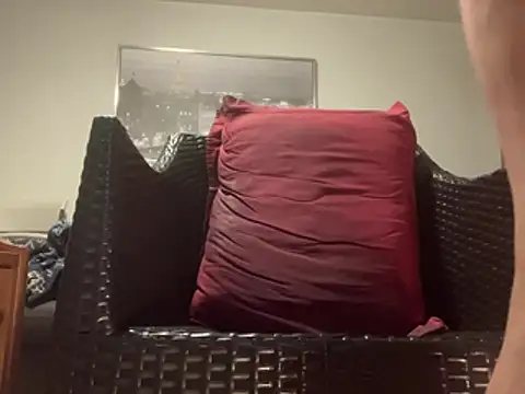 Tyyson03 webcam