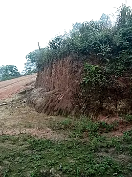 kalara_kail webcam