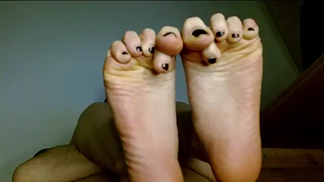 Juls_winter_ webcam