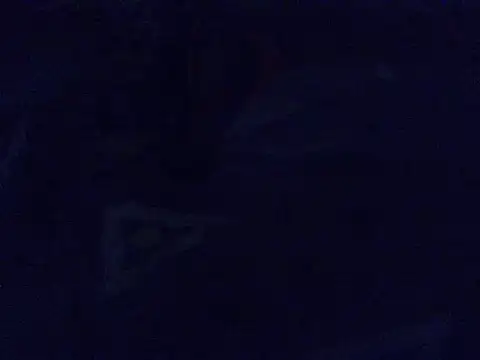 Pearl_petite webcam