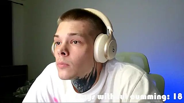 DENIS_HERE webcam