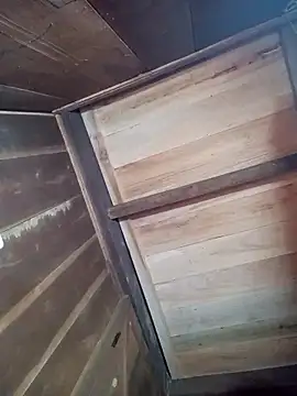 toyo_668 webcam