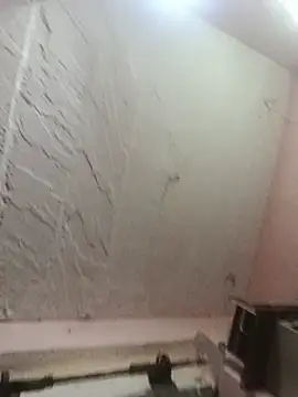 Deepjakolirr webcam