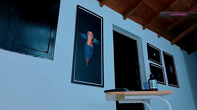 SilvaBranko webcam
