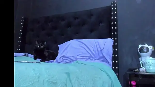amareto_queen webcam