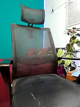 Rayansmith_ webcam