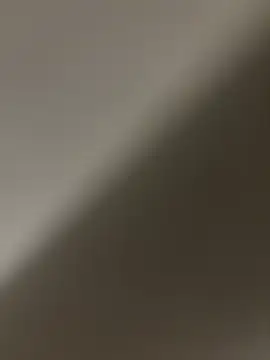 yRoyceCHallu webcam