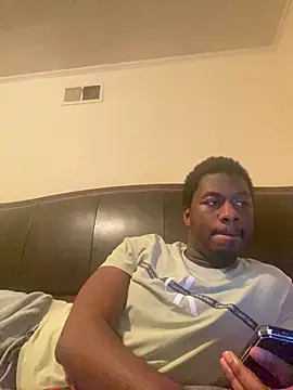 ThickDic28 webcam