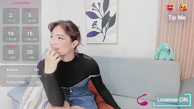 KassMonroe webcam
