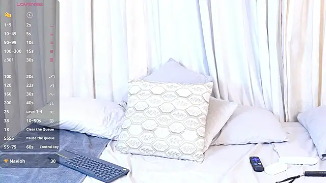 mekari_fox webcam