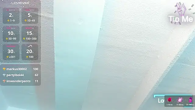 nanygp webcam