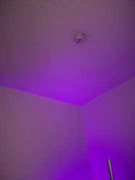 aurora_divine webcam
